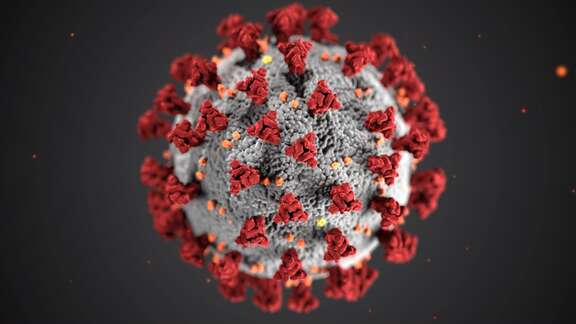 Nieuwsbericht Corona virus