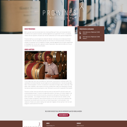Website portfolio Prowines
